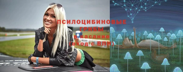 тгк Аркадак
