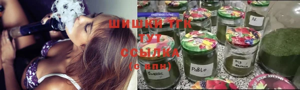 тгк Аркадак