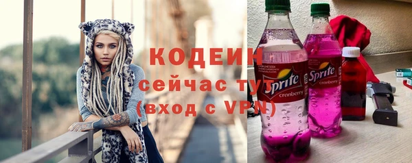 спиды Арсеньев